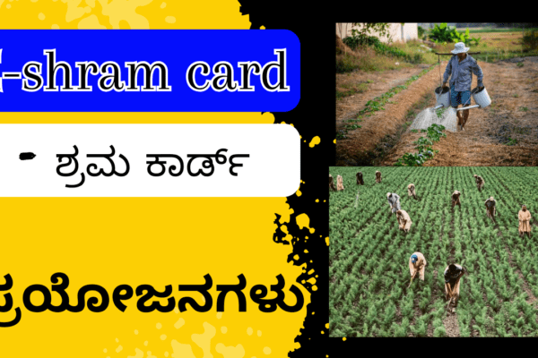 E-Shram Card