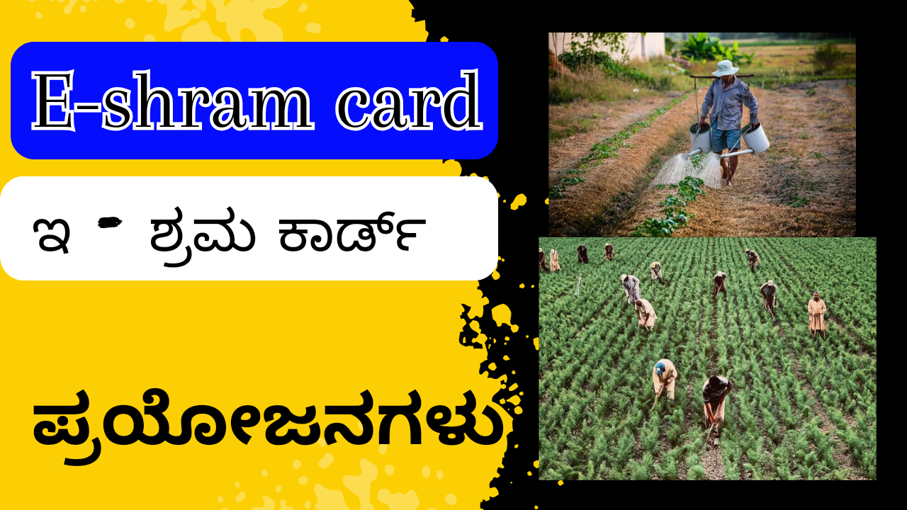 E-Shram Card