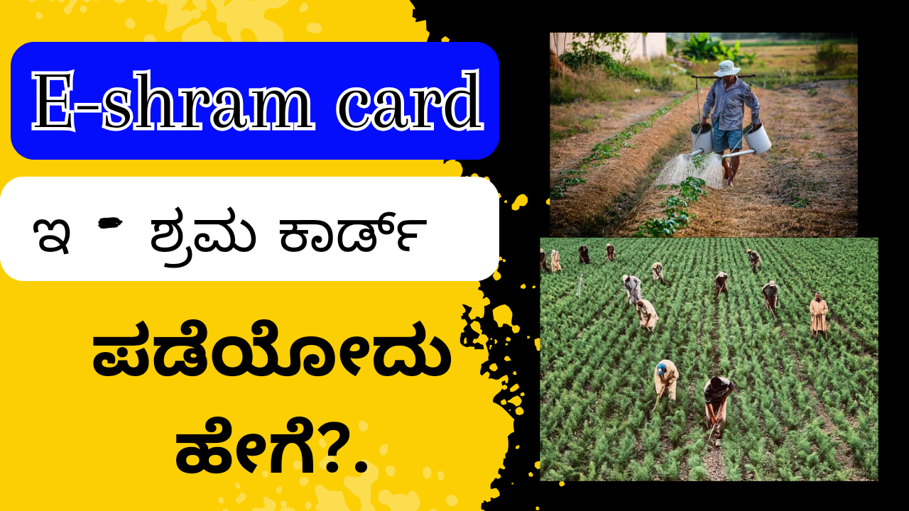 E-Shram Card